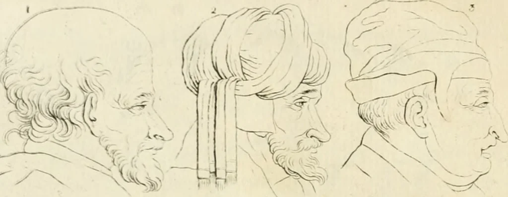 An illustration from Essai sur la physiognomonie : destiné a faire connoître l'homme & à le faire aimer, 1781, leaf 211