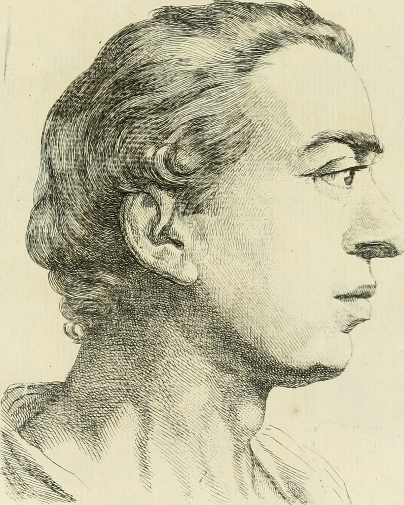 An illustration from Essai sur la physiognomonie : destiné a faire connoître l'homme & à le faire aimer, 1781, leaf 216