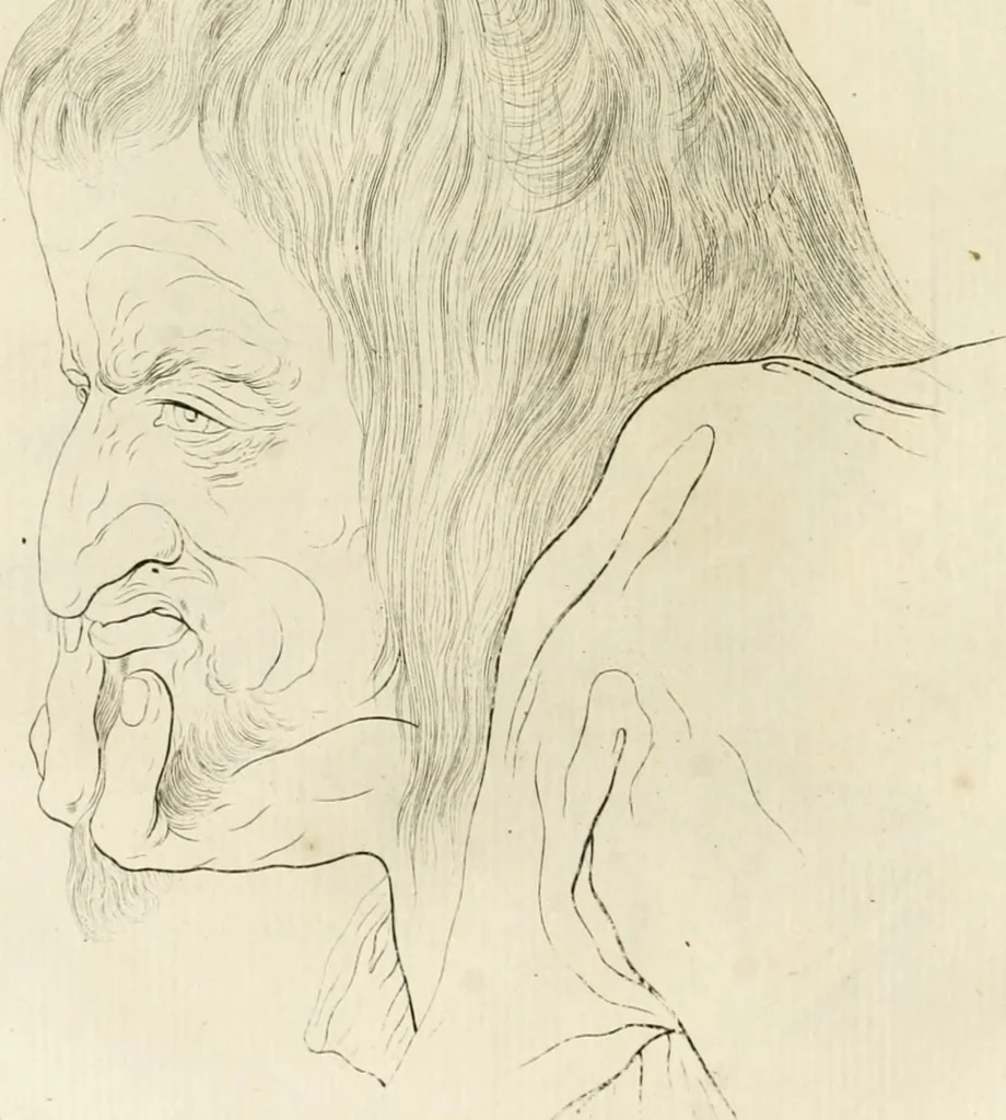 An illustration from Essai sur la physiognomonie : destiné a faire connoître l'homme & à le faire aimer, 1781, leaf 217
