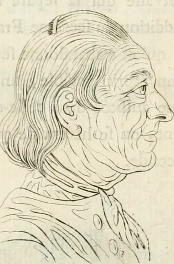 An illustration from Essai sur la physiognomonie : destiné a faire connoître l'homme & à le faire aimer, 1781, leaf 219