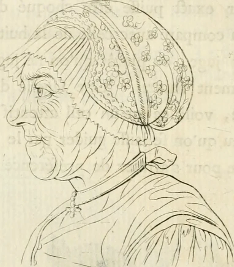 An illustration from Essai sur la physiognomonie : destiné a faire connoître l'homme & à le faire aimer, 1781, leaf 219