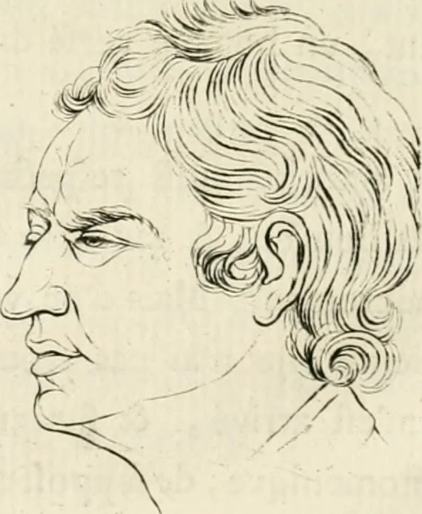 An illustration from Essai sur la physiognomonie : destiné a faire connoître l'homme & à le faire aimer, 1781, leaf 225