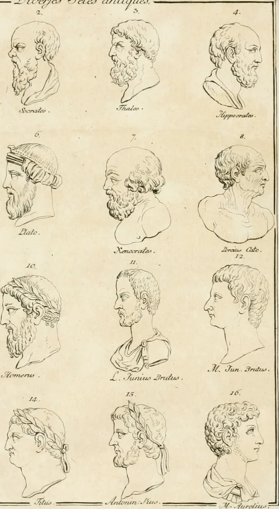 An illustration from Essai sur la physiognomonie : destiné a faire connoître l'homme & à le faire aimer, 1781, leaf 249