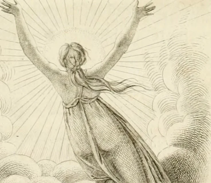An illustration from Essai sur la physiognomonie : destiné a faire connoître l'homme & à le faire aimer, 1781, leaf 25