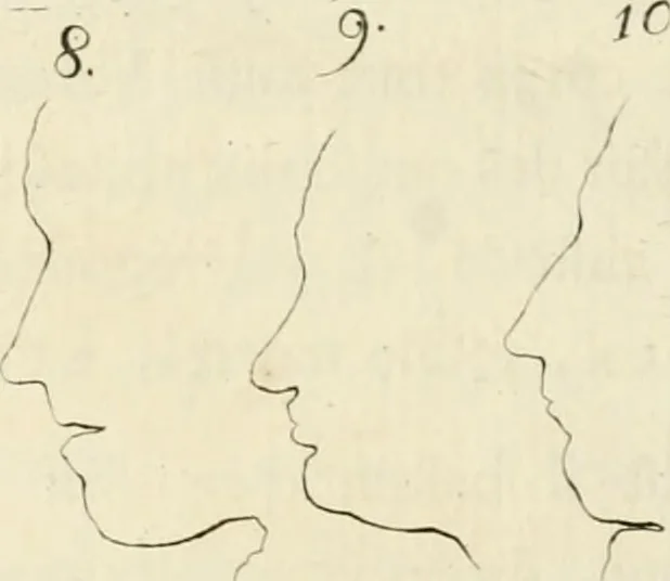 An illustration from Essai sur la physiognomonie : destiné a faire connoître l'homme & à le faire aimer, 1781, leaf 277