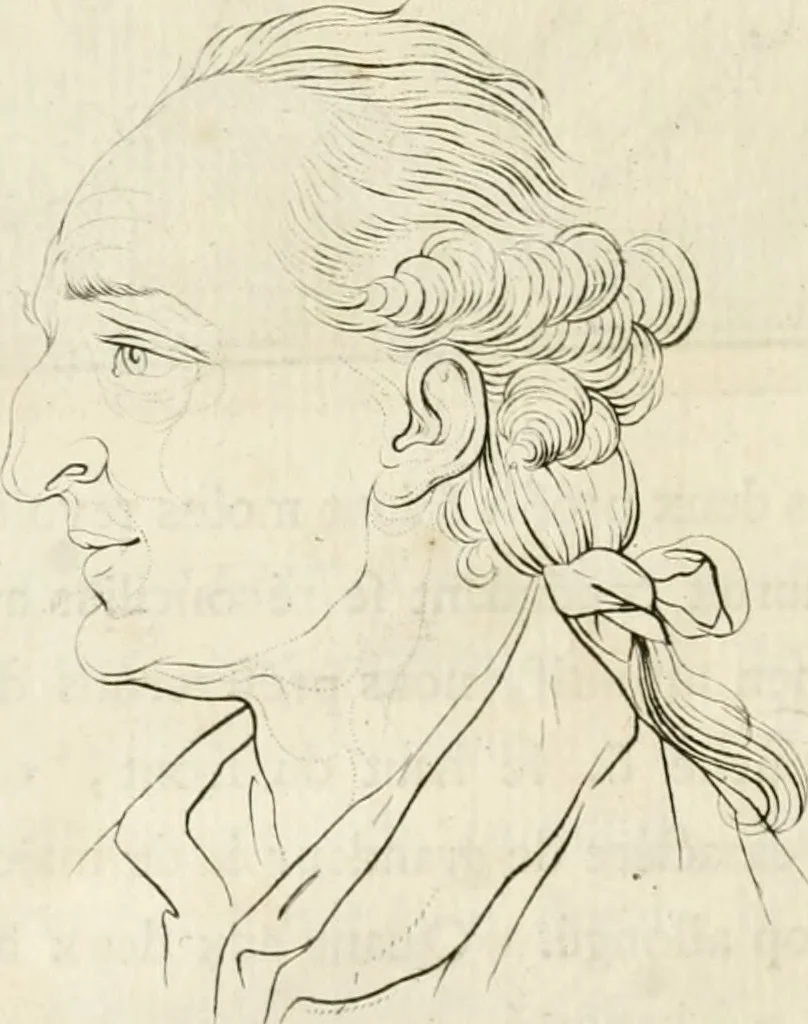 An illustration from Essai sur la physiognomonie : destiné a faire connoître l'homme & à le faire aimer, 1781, leaf 281