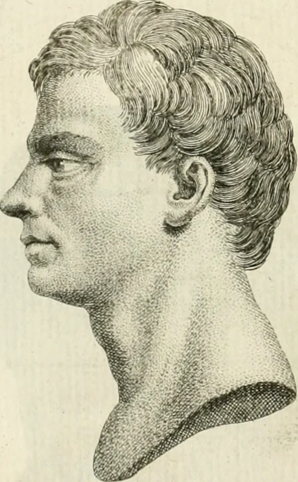 An illustration from Essai sur la physiognomonie : destiné a faire connoître l'homme & à le faire aimer, 1781, leaf 291