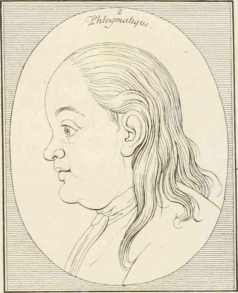 An illustration from Essai sur la physiognomonie : destiné a faire connoître l'homme & à le faire aimer, 1781, leaf 294