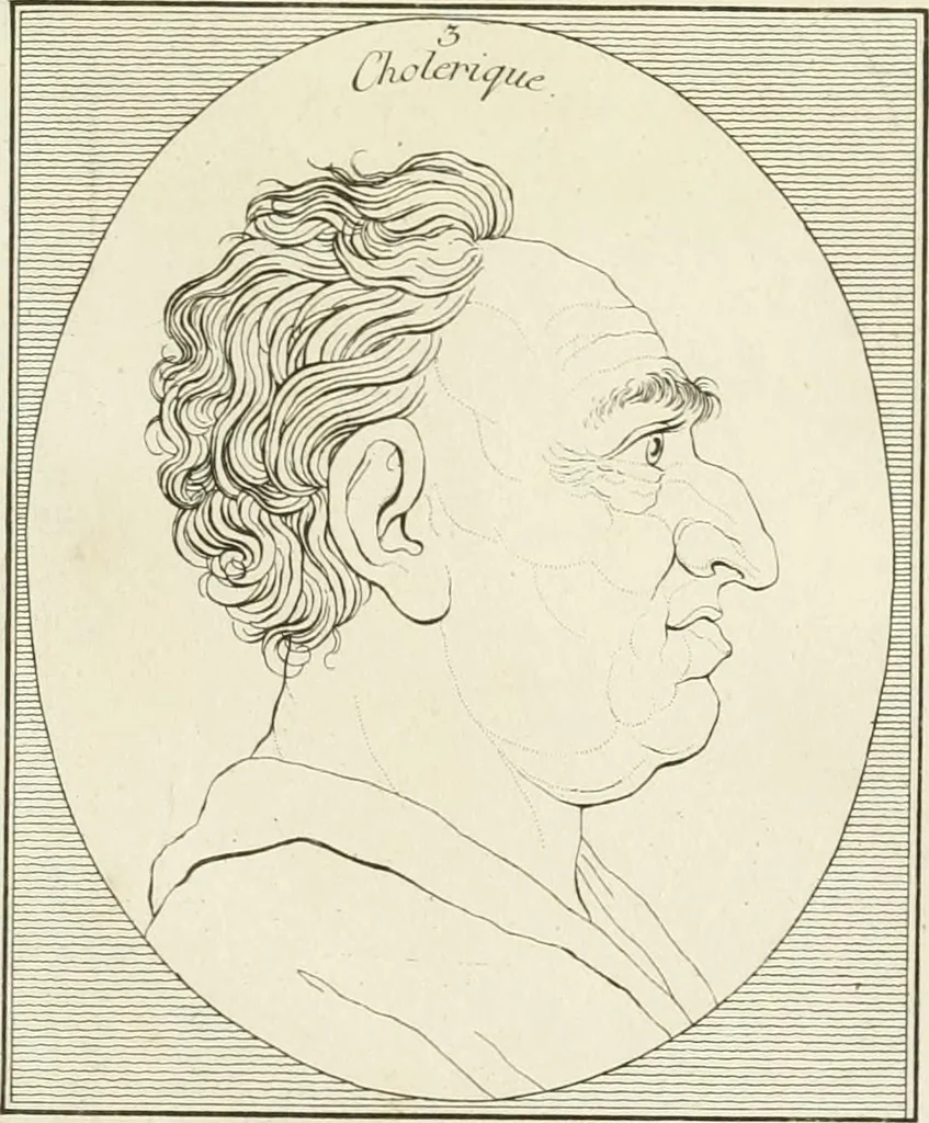 An illustration from Essai sur la physiognomonie : destiné a faire connoître l'homme & à le faire aimer, 1781, leaf 294
