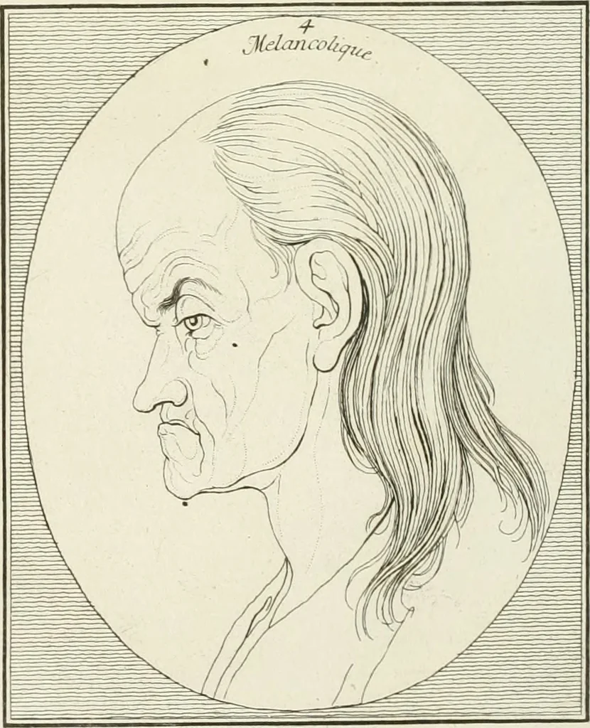 An illustration from Essai sur la physiognomonie : destiné a faire connoître l'homme & à le faire aimer, 1781, leaf 294