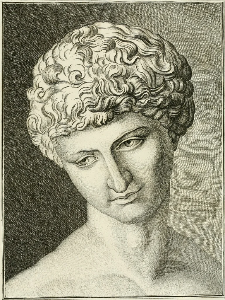 An illustration from Essai sur la physiognomonie : destiné a faire connoître l'homme & à le faire aimer, 1781, leaf 300