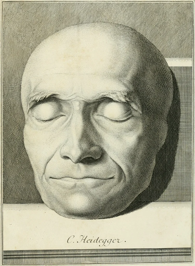 An illustration from Essai sur la physiognomonie : destiné a faire connoître l'homme & à le faire aimer, 1781, leaf 312