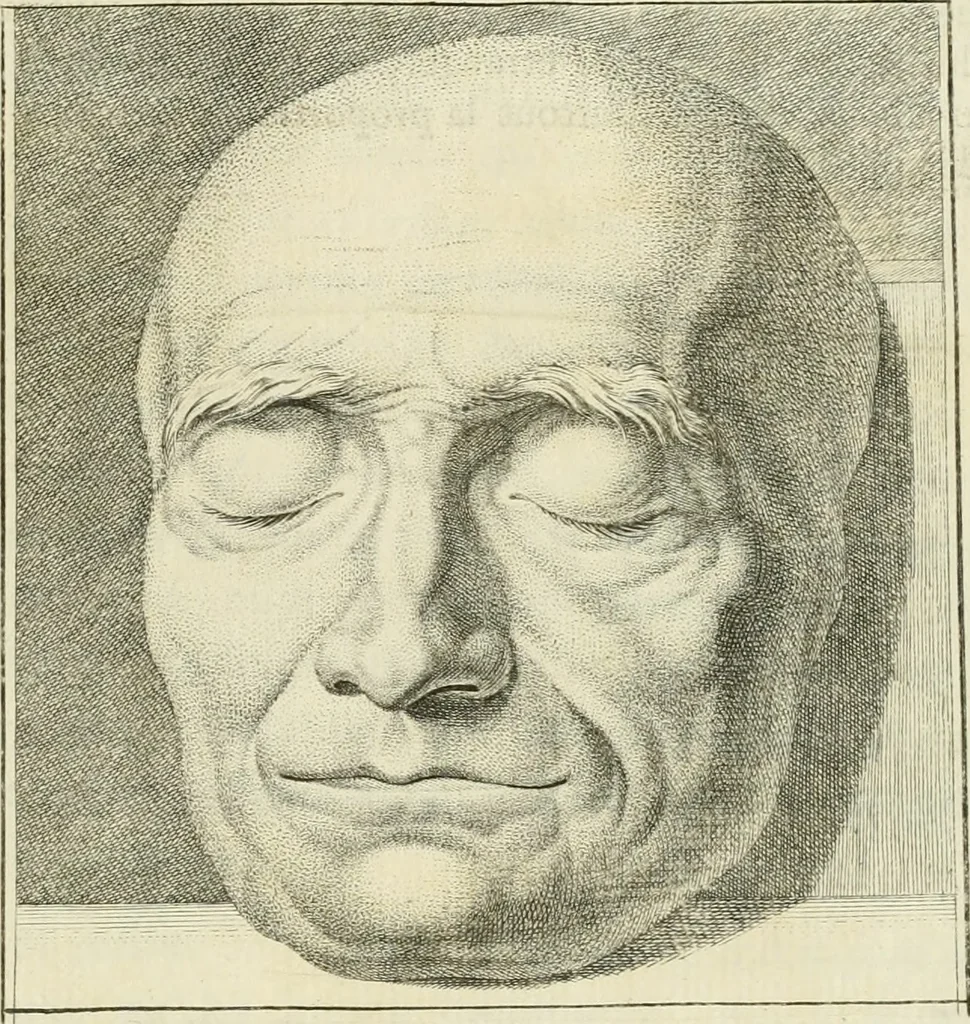An illustration from Essai sur la physiognomonie : destiné a faire connoître l'homme & à le faire aimer, 1781, leaf 314