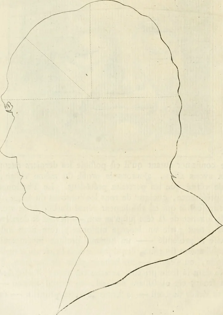 An illustration from Essai sur la physiognomonie : destiné a faire connoître l'homme & à le faire aimer, 1781, leaf 315