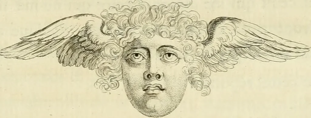 An illustration from Essai sur la physiognomonie : destiné a faire connoître l'homme & à le faire aimer, 1781, leaf 78