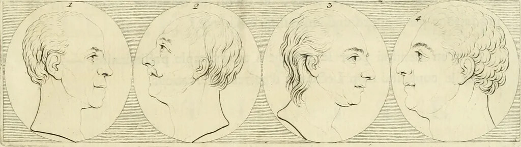 An illustration from Essai sur la physiognomonie : destiné a faire connoître l'homme & à le faire aimer, 1781, leaf 88