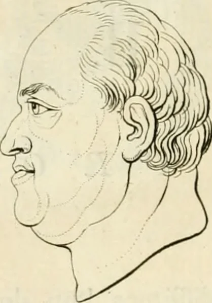 An illustration from Essai sur la physiognomonie : destiné a faire connoître l'homme & à le faire aimer, 1781, leaf 89