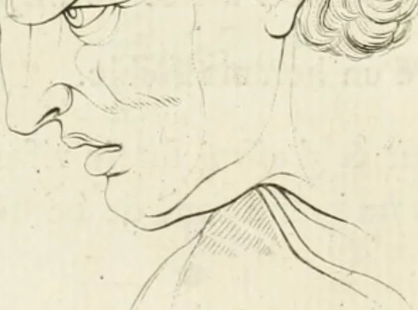 An illustration from Essai sur la physiognomonie : destiné a faire connoître l'homme & à le faire aimer, 1781, leaf 101