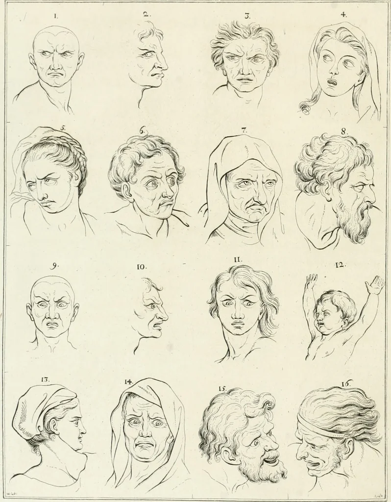 An illustration from Essai sur la physiognomonie : destiné a faire connoître l'homme & à le faire aimer, 1781, leaf 103