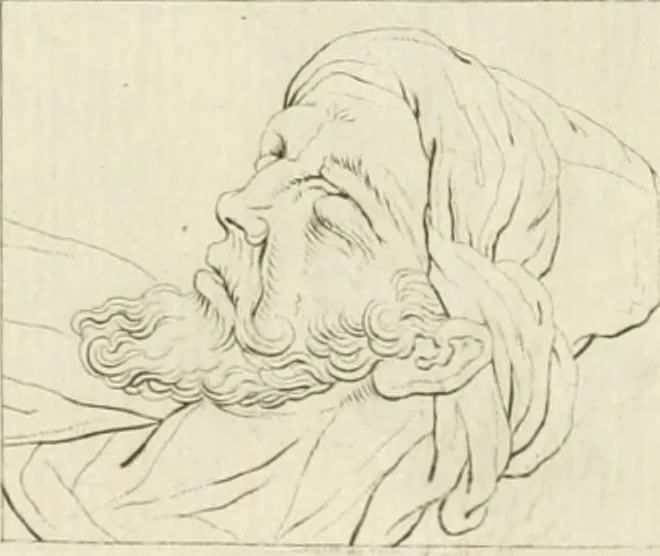 An illustration from Essai sur la physiognomonie : destiné a faire connoître l'homme & à le faire aimer, 1781, leaf 109