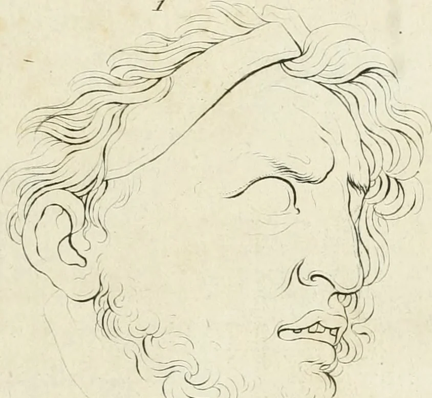 An illustration from Essai sur la physiognomonie : destiné a faire connoître l'homme & à le faire aimer, 1781, leaf 110