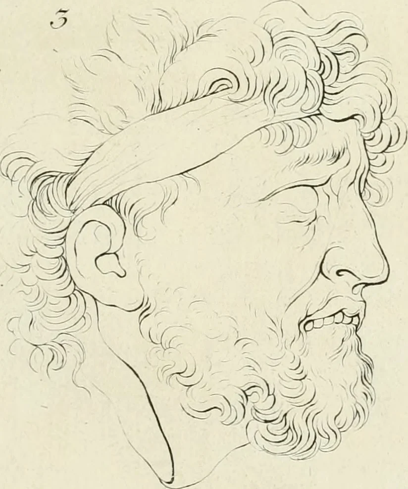 An illustration from Essai sur la physiognomonie : destiné a faire connoître l'homme & à le faire aimer, 1781, leaf 110