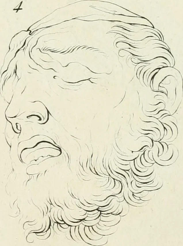 An illustration from Essai sur la physiognomonie : destiné a faire connoître l'homme & à le faire aimer, 1781, leaf 110