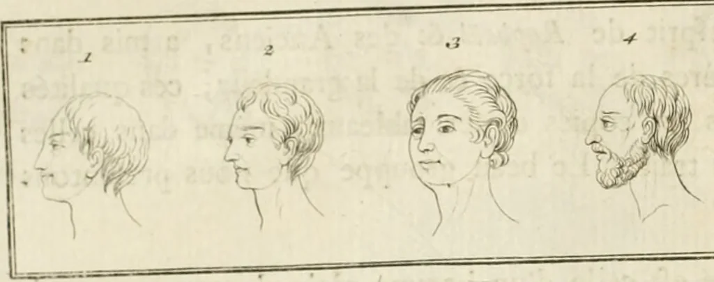 An illustration from Essai sur la physiognomonie : destiné a faire connoître l'homme & à le faire aimer, 1781, leaf 113