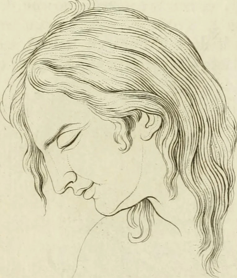 An illustration from Essai sur la physiognomonie : destiné a faire connoître l'homme & à le faire aimer, 1781, leaf 114