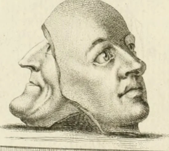 An illustration from Essai sur la physiognomonie : destiné a faire connoître l'homme & à le faire aimer, 1781, leaf 115
