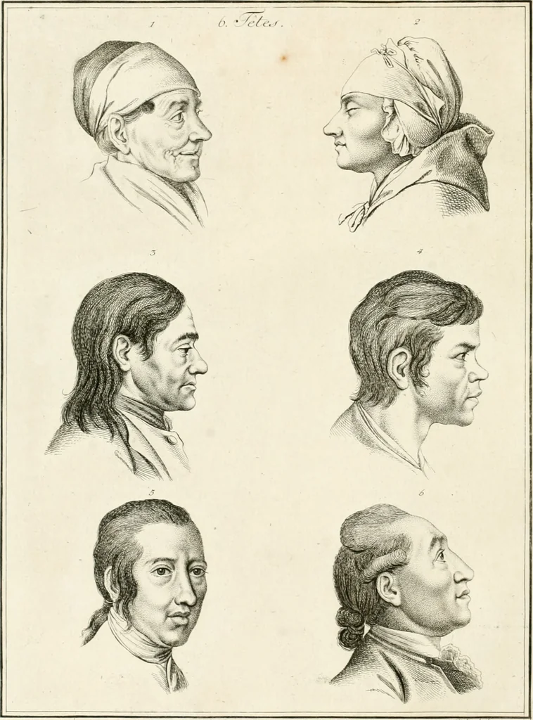 An illustration from Essai sur la physiognomonie : destiné a faire connoître l'homme & à le faire aimer, 1781, leaf 125