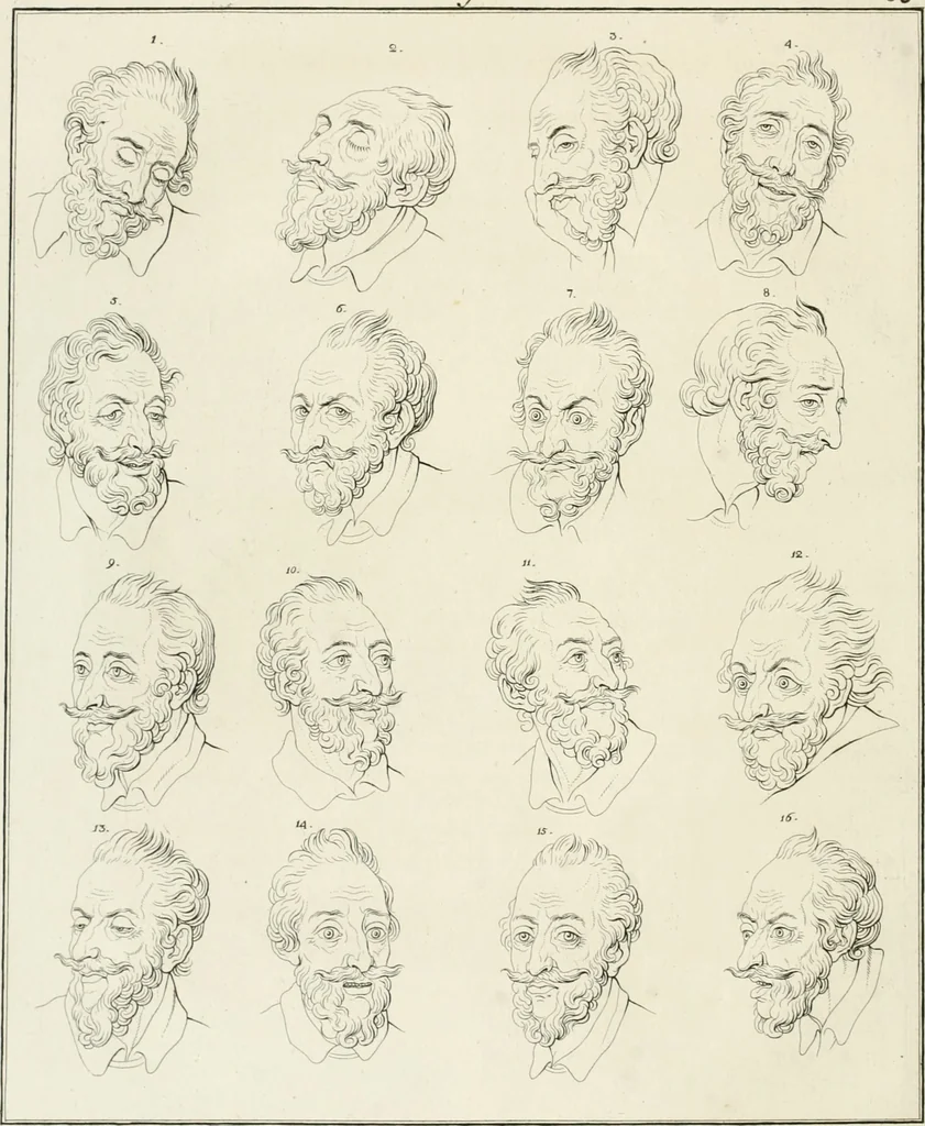 An illustration from Essai sur la physiognomonie : destiné a faire connoître l'homme & à le faire aimer, 1781, leaf 129
