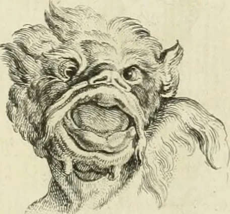 An illustration from Essai sur la physiognomonie : destiné a faire connoître l'homme & à le faire aimer, 1781, leaf 156