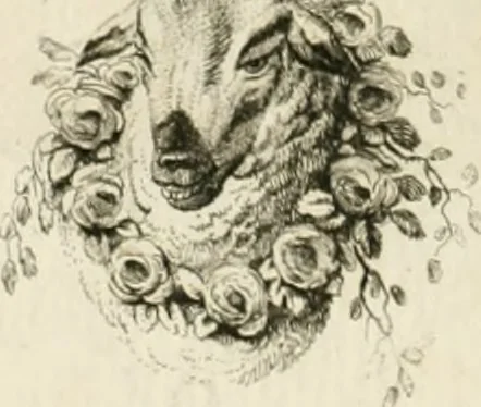 An illustration from Essai sur la physiognomonie : destiné a faire connoître l'homme & à le faire aimer, 1781, leaf 159