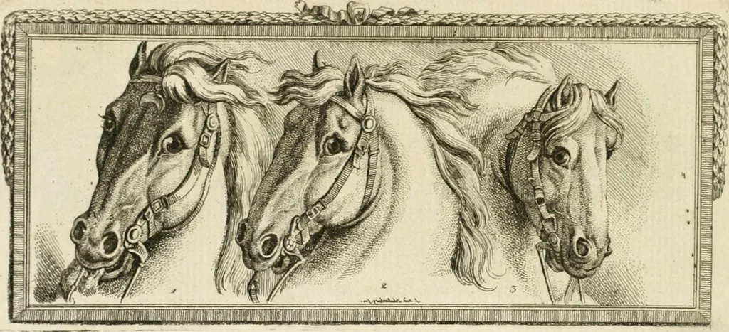 An illustration from Essai sur la physiognomonie : destiné a faire connoître l'homme & à le faire aimer, 1781, leaf 163
