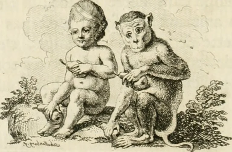 An illustration from Essai sur la physiognomonie : destiné a faire connoître l'homme & à le faire aimer, 1781, leaf 189