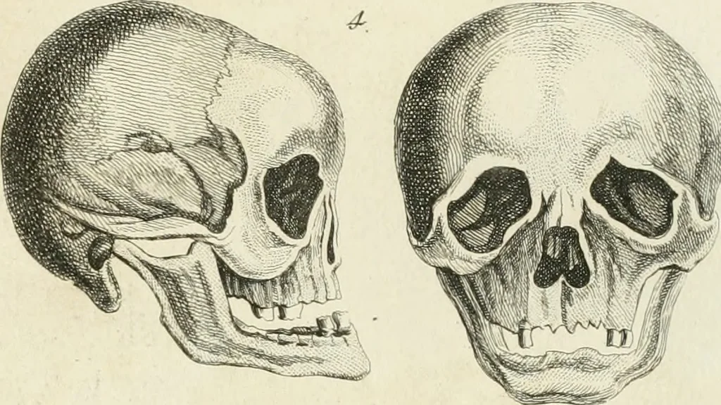 An illustration from Essai sur la physiognomonie : destiné a faire connoître l'homme & à le faire aimer, 1781, leaf 210
