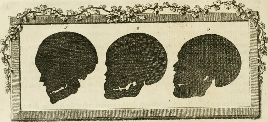 An illustration from Essai sur la physiognomonie : destiné a faire connoître l'homme & à le faire aimer, 1781, leaf 213