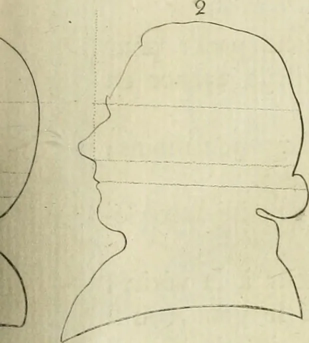 An illustration from Essai sur la physiognomonie : destiné a faire connoître l'homme & à le faire aimer, 1781, leaf 234