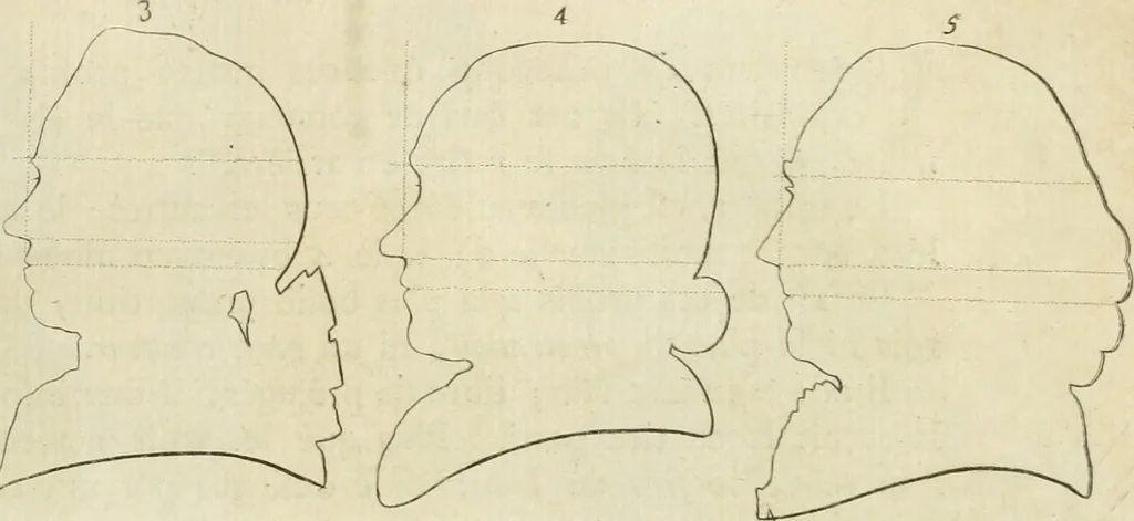 An illustration from Essai sur la physiognomonie : destiné a faire connoître l'homme & à le faire aimer, 1781, leaf 234