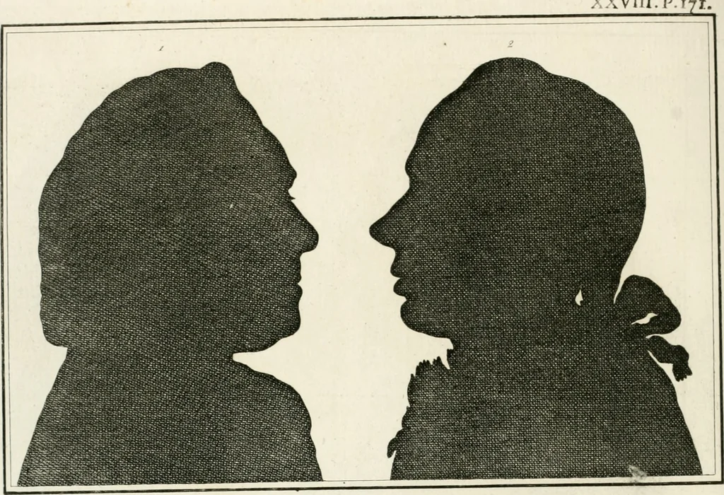 An illustration from Essai sur la physiognomonie : destiné a faire connoître l'homme & à le faire aimer, 1781, leaf 237