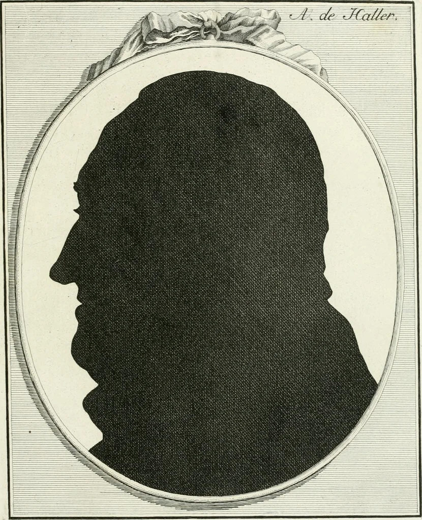 An illustration from Essai sur la physiognomonie : destiné a faire connoître l'homme & à le faire aimer, 1781, leaf 242