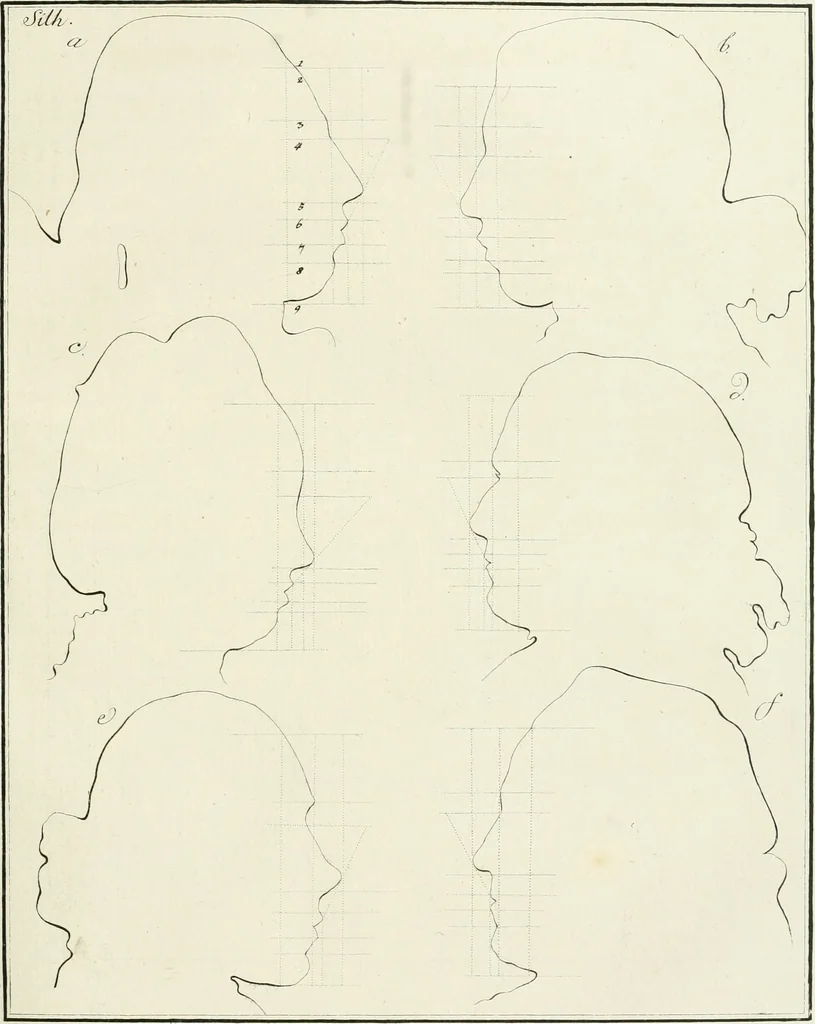 An illustration from Essai sur la physiognomonie : destiné a faire connoître l'homme & à le faire aimer, 1781, leaf 252
