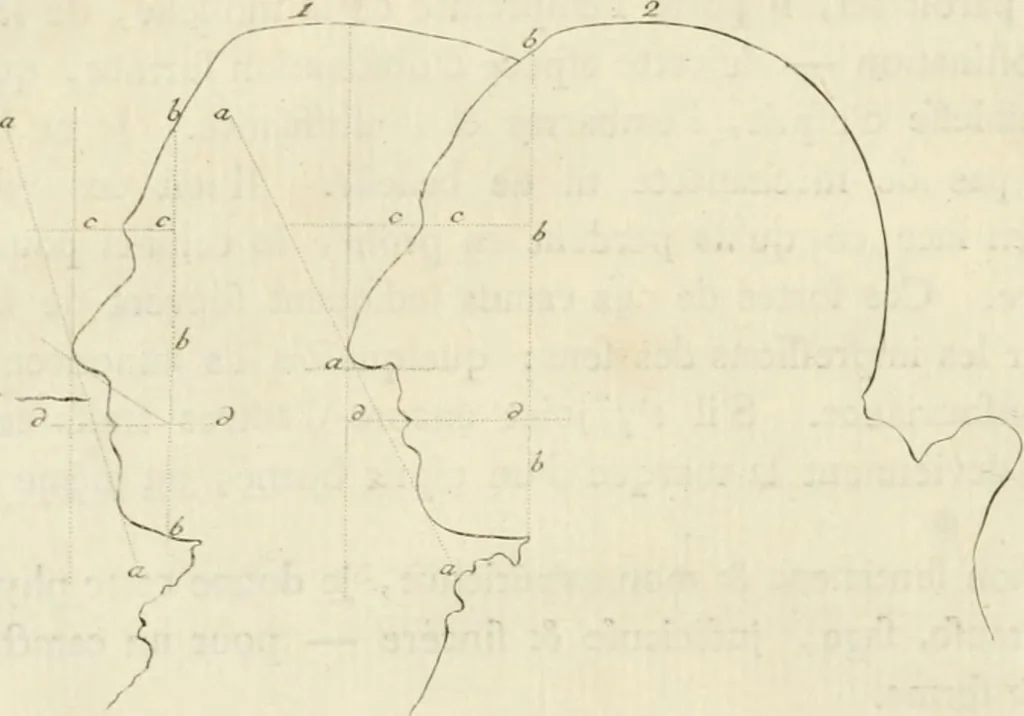 An illustration from Essai sur la physiognomonie : destiné a faire connoître l'homme & à le faire aimer, 1781, leaf 255
