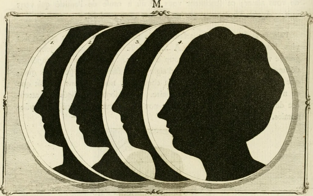 An illustration from Essai sur la physiognomonie : destiné a faire connoître l'homme & à le faire aimer, 1781, leaf 257