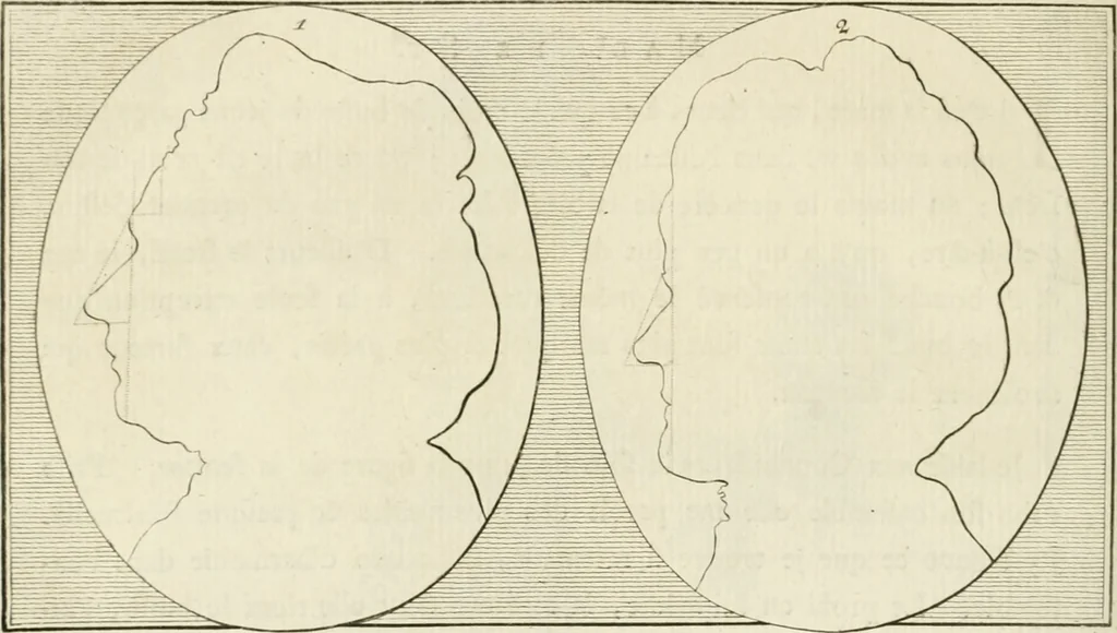 An illustration from Essai sur la physiognomonie : destiné a faire connoître l'homme & à le faire aimer, 1781, leaf 263