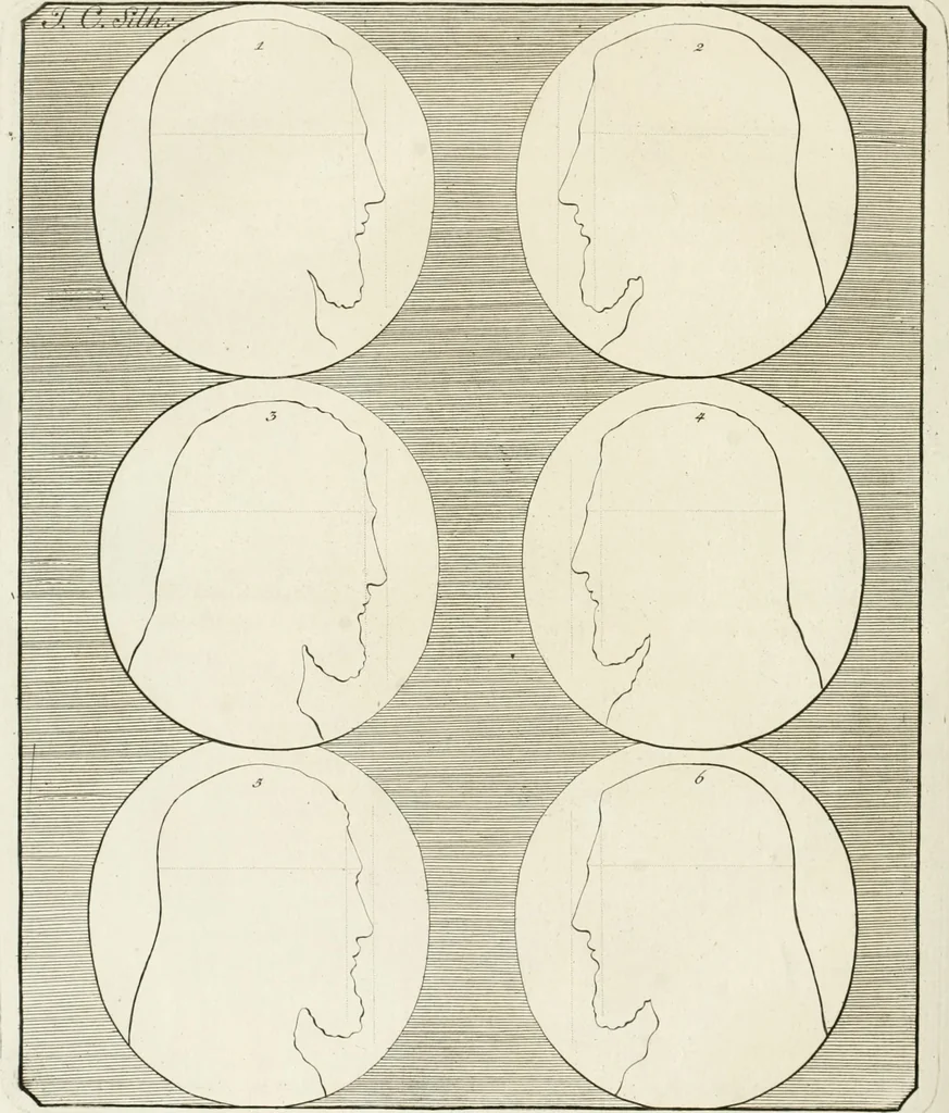 An illustration from Essai sur la physiognomonie : destiné a faire connoître l'homme & à le faire aimer, 1781, leaf 265