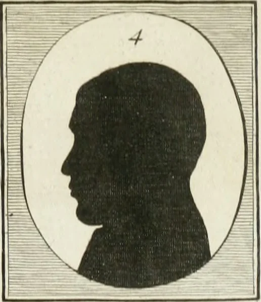 An illustration from Essai sur la physiognomonie : destiné a faire connoître l'homme & à le faire aimer, 1781, leaf 268
