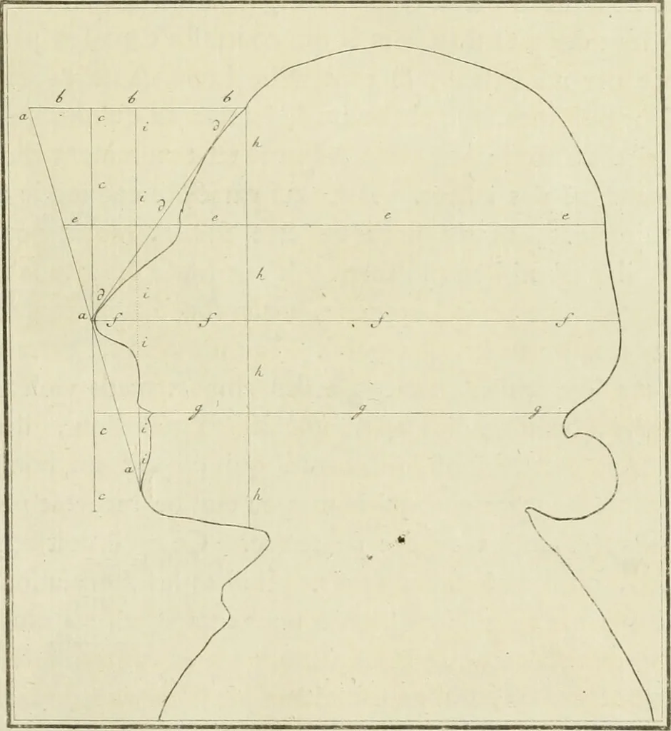 An illustration from Essai sur la physiognomonie : destiné a faire connoître l'homme & à le faire aimer, 1781, leaf 282