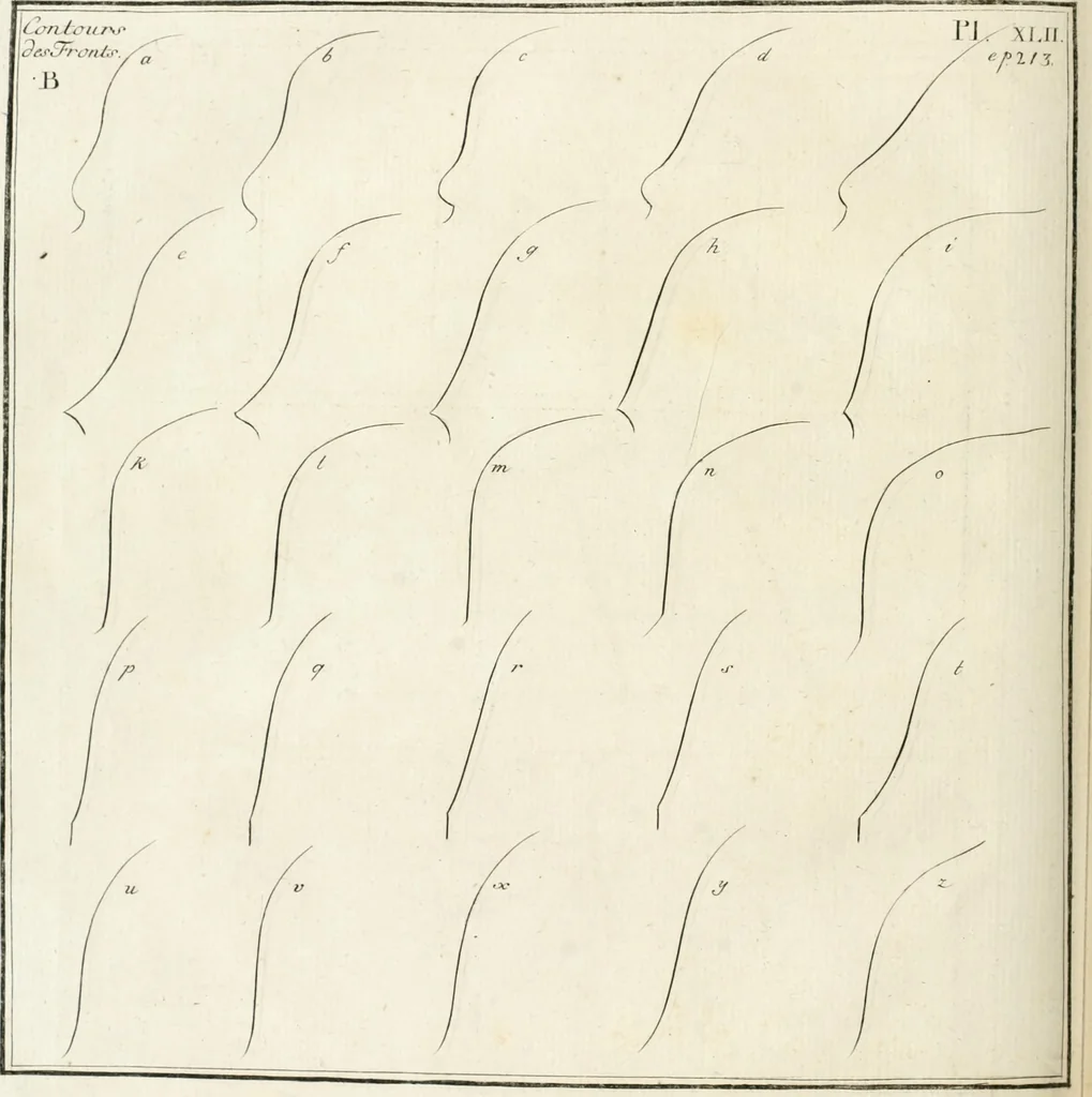 An illustration from Essai sur la physiognomonie : destiné a faire connoître l'homme & à le faire aimer, 1781, leaf 301